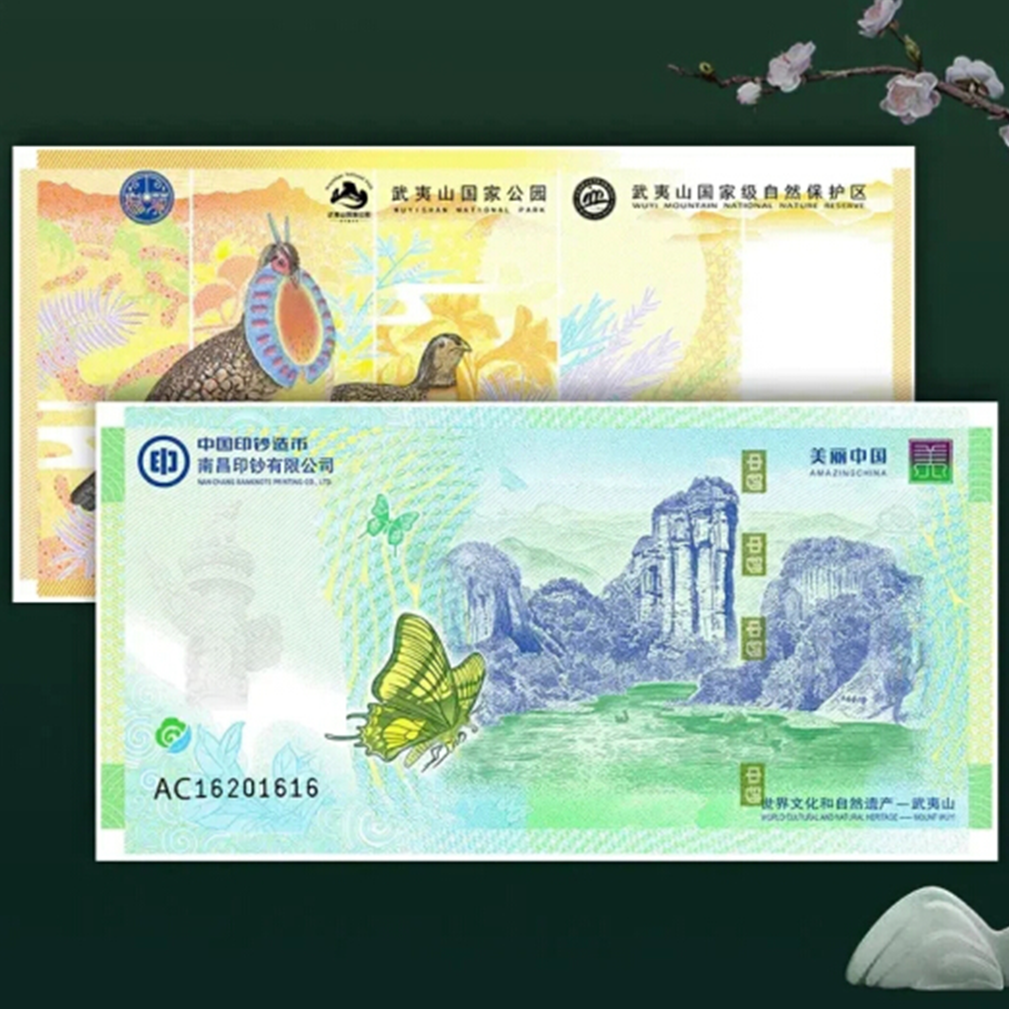 武夷山货币文化券