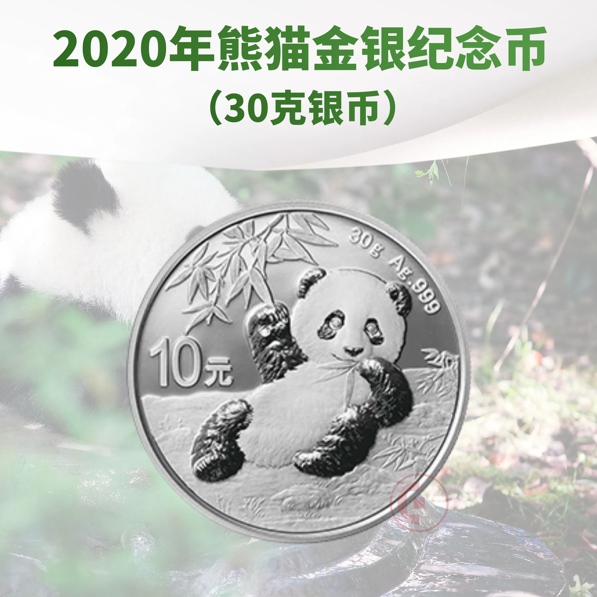 2020年熊猫银币（30g）